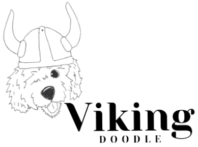 Viking Doodle